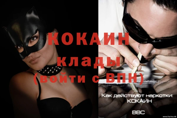 дмт Осташков