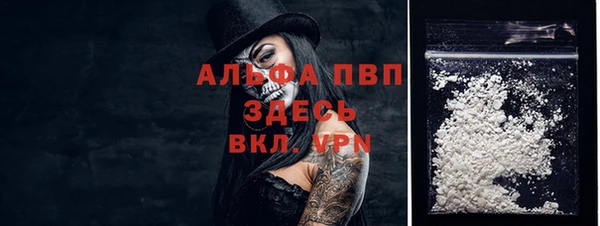 молекула духа Пересвет