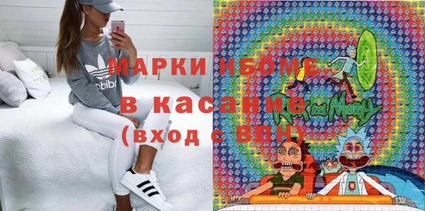 дмт Осташков