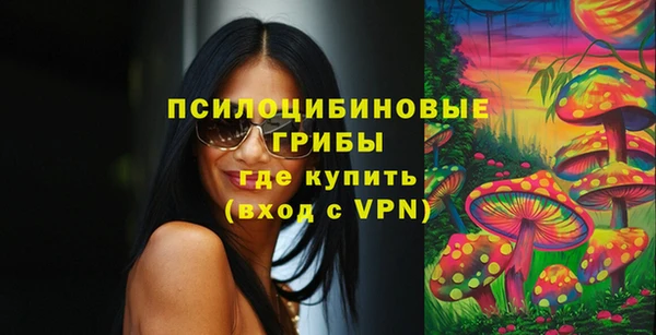 молекула духа Пересвет