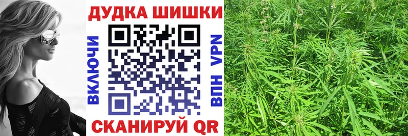 как найти закладки  Кущёвская  Бошки марихуана Ganja 
